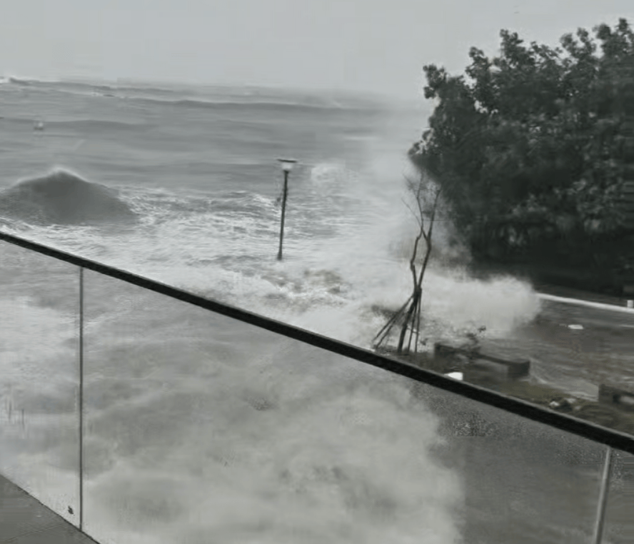 皇冠信用網会员开户申请_湛江徐闻实况：路边大树被强风刮倒皇冠信用網会员开户申请，车辆被砸！台风“麦德姆”即将登陆