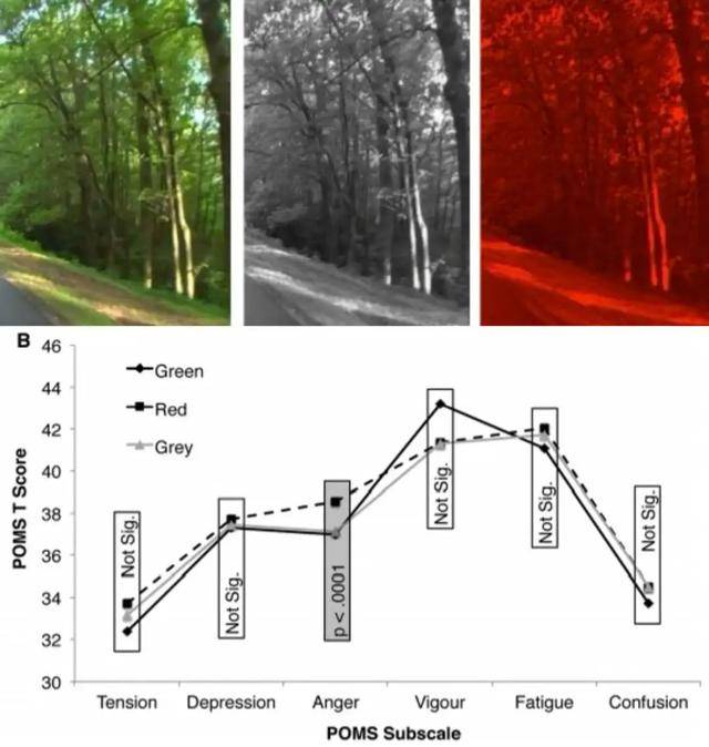 皇冠信用网平台出租
_年代剧的墙皇冠信用网平台出租
,为什么都是上白下绿?