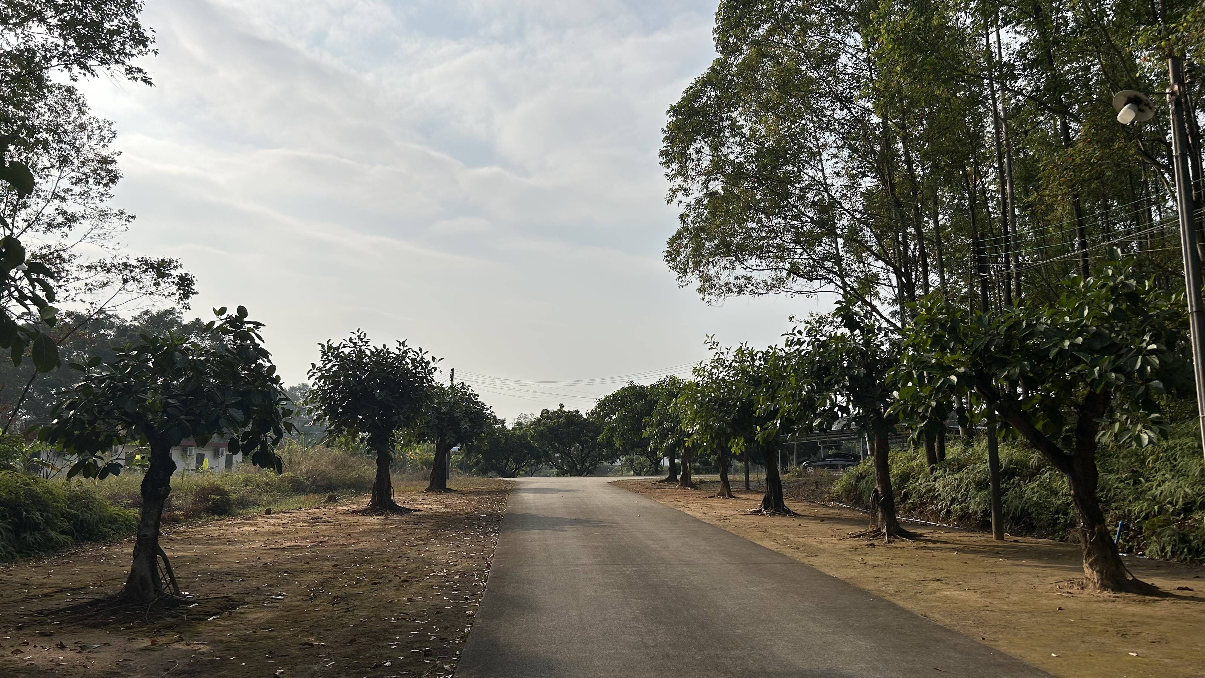 皇冠信用網出租代理
_有价无猴！实验猴价格暴涨皇冠信用網出租代理
，有猴场明年的猴都被订光，繁殖率已跟不上｜调查