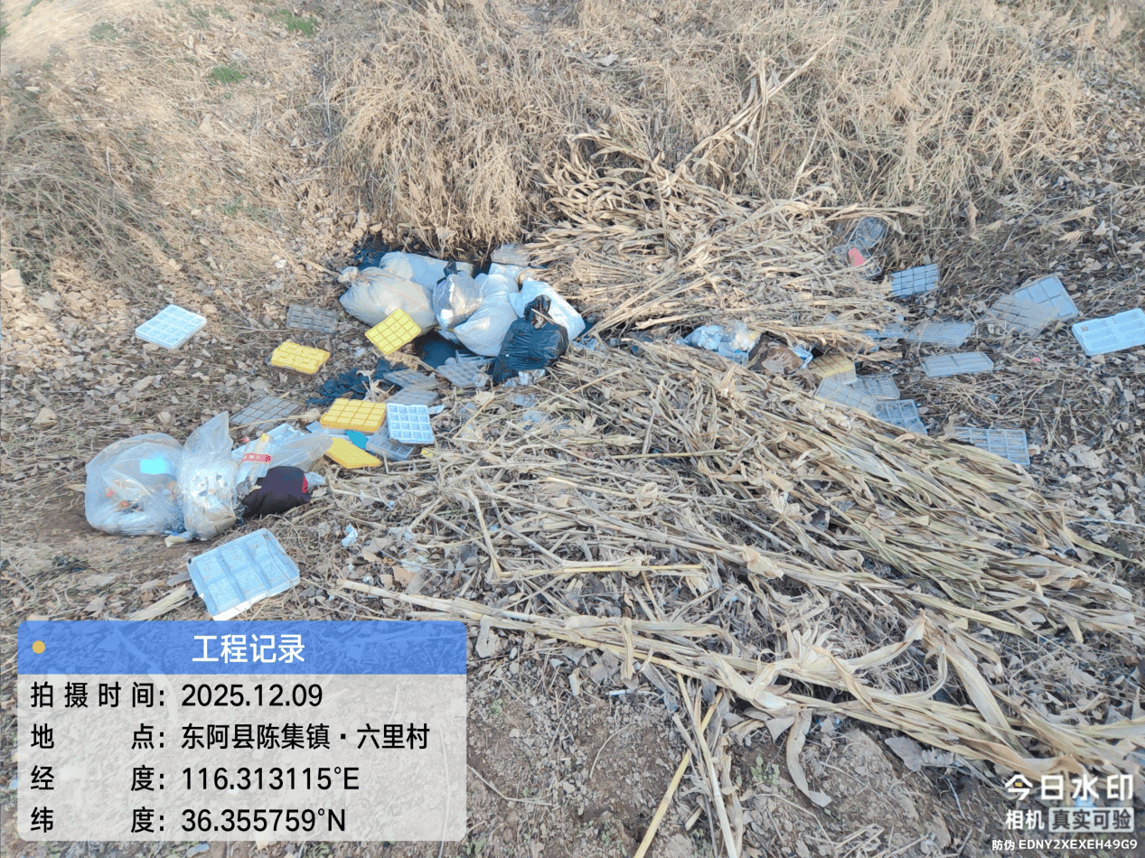 皇冠信用網注册开户
_东阿县:多个村庄“垃圾围村” 县农村农业局回复称 已全部整治清理