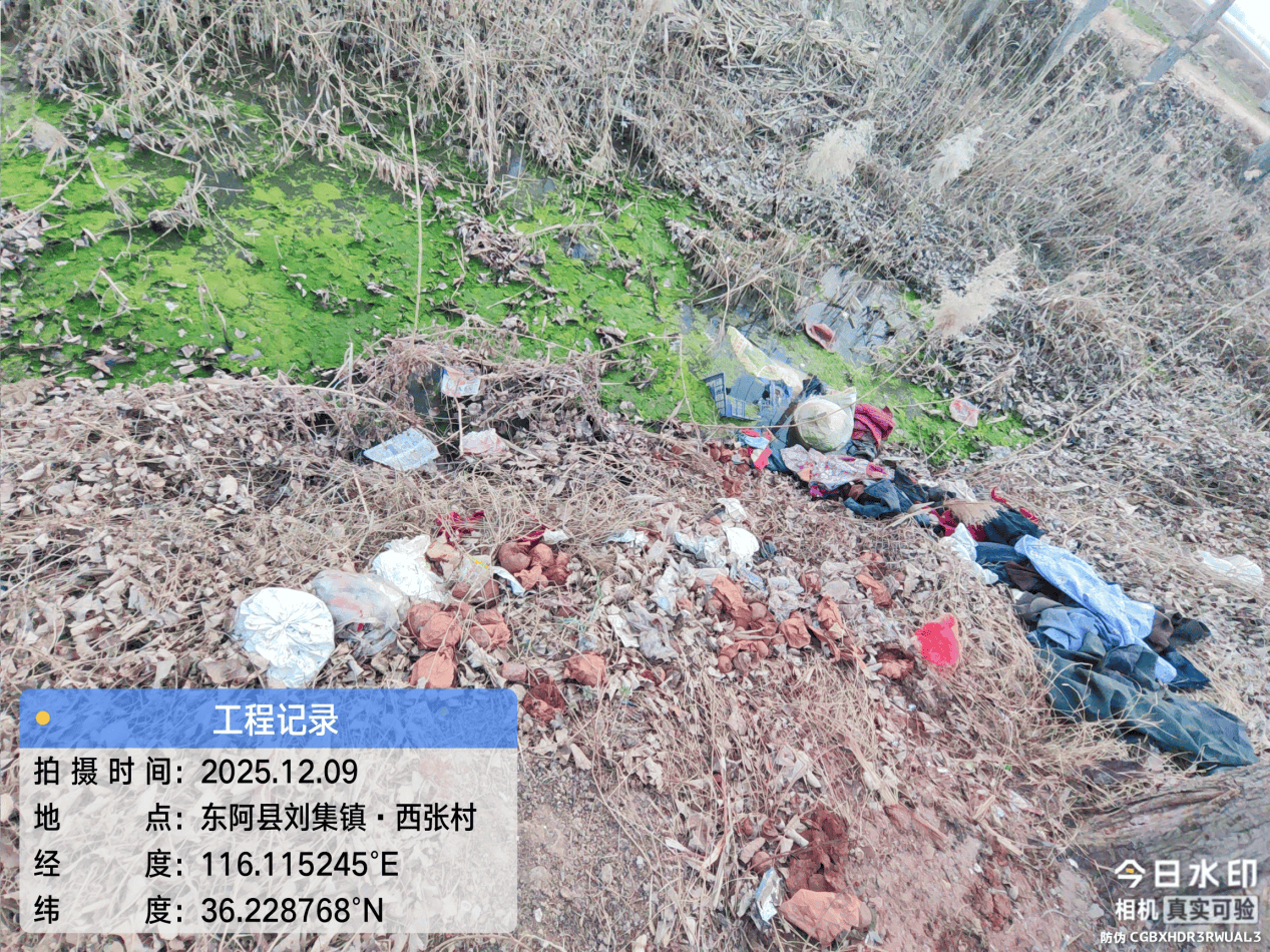 皇冠信用網注册开户
_东阿县:多个村庄“垃圾围村” 县农村农业局回复称 已全部整治清理