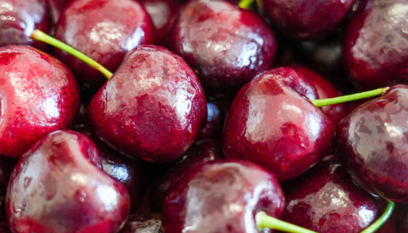 皇冠信用网代理注册_价格“大跳水”皇冠信用网代理注册！超50万吨智利车厘子将涌入中国