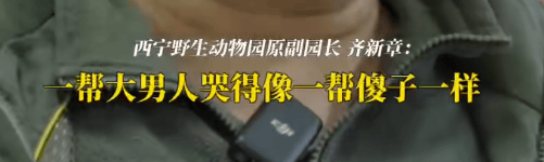 皇冠信用网结算日_“一群男人哭得像傻子！”雪豹“凌寒”脑梗复发死亡皇冠信用网结算日，原副园长：心脏停跳40分钟，没有一个人停下放弃